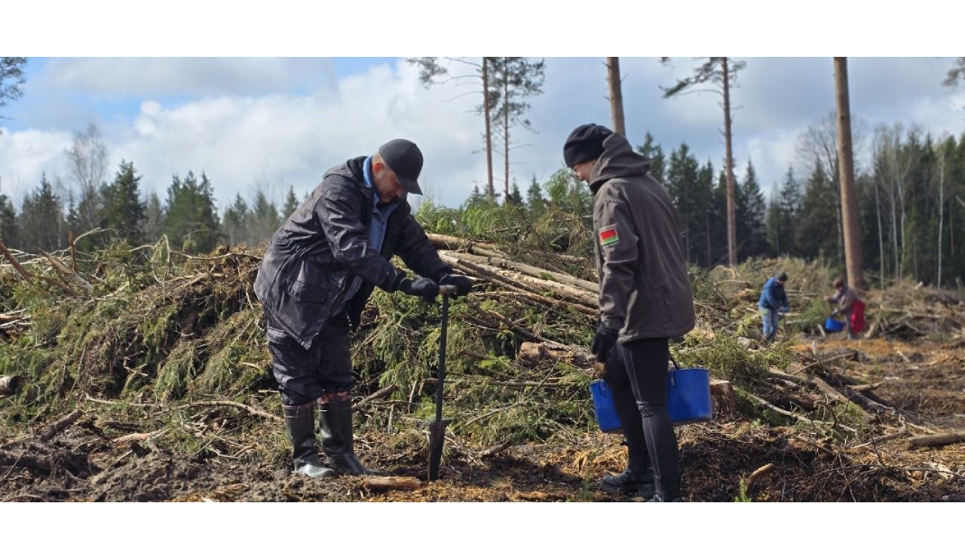 Минэкономики - активный участник республиканского субботника