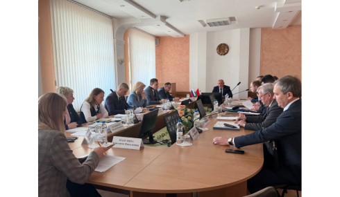 Алеся Абраменко: важно вырабатывать совместные стратегические меры по защите внутреннего рынка Союзного государства