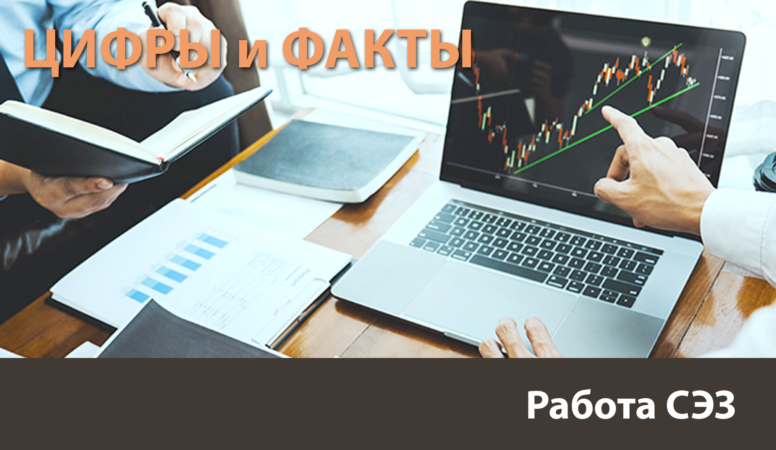 Цифры и факты: резиденты СЭЗ «Брест» вносят значительный вклад в экономику Брестской области