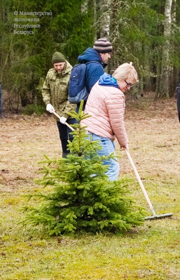 
 Сотрудники Минэкономики приняли участие в республиканском
субботнике на территории мемориального комплекса «Хатынь».  
