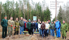 Сотрудники Минэкономики приняли участие в акции "Неделя леса 2016"